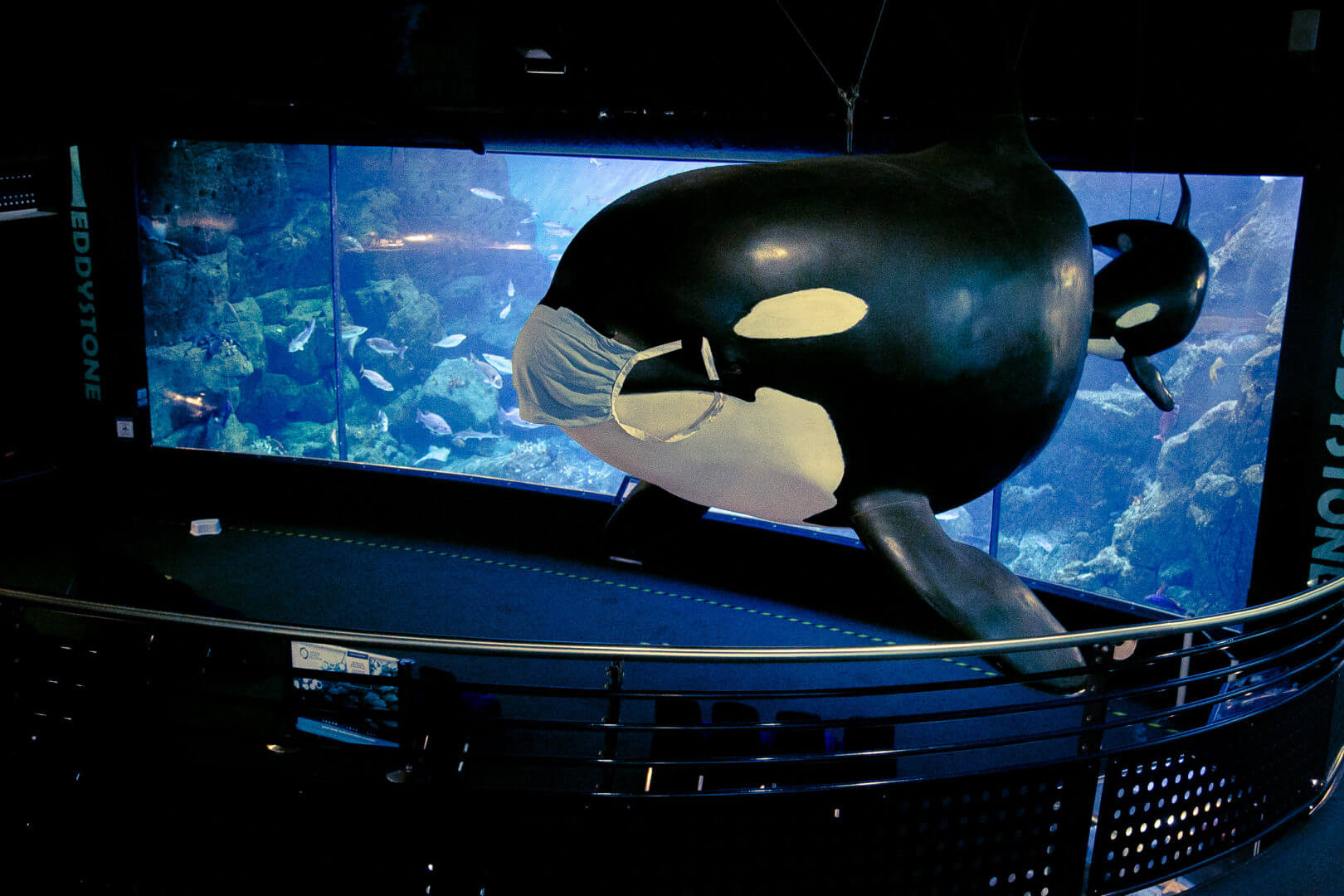 Inside National Marine Aquarium