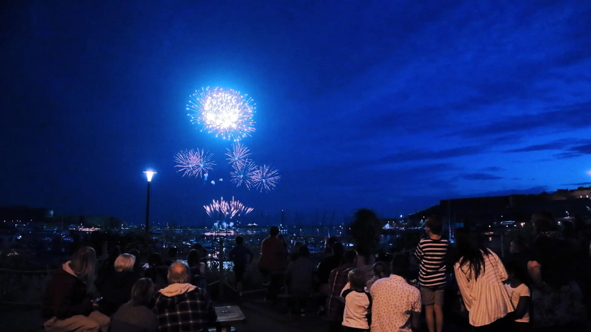 a silhouette of families as they watch a blue explosion of fireworks in front of them.