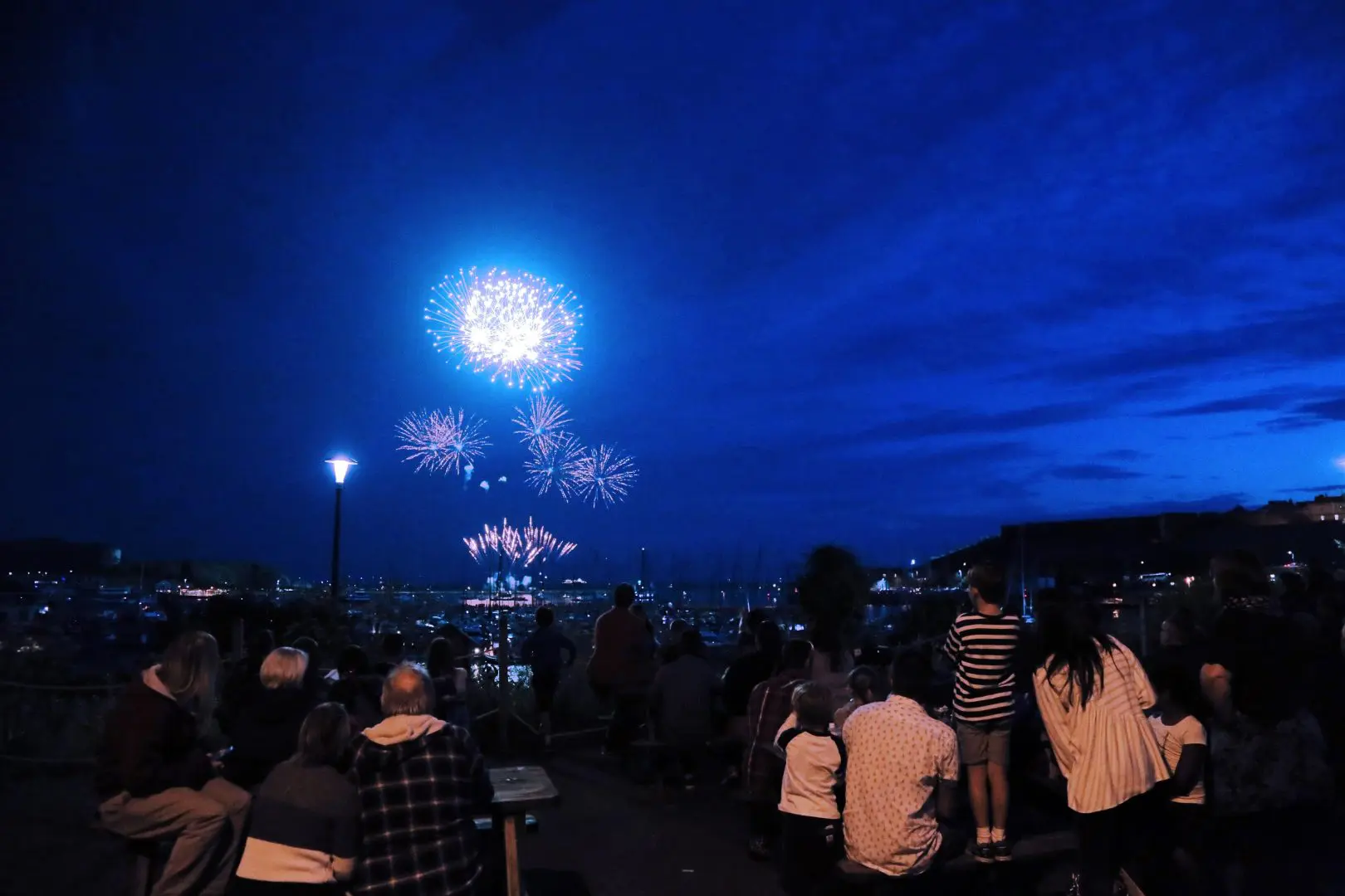 a silhouette of families as they watch a blue explosion of fireworks in front of them.