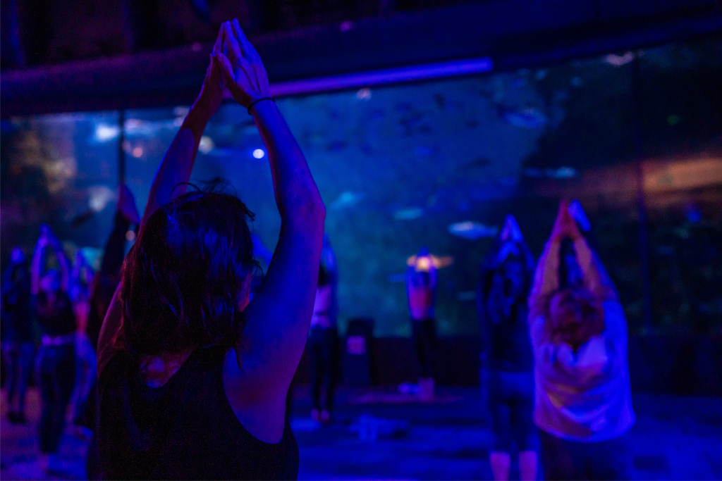 Body Balance at The Aquarium