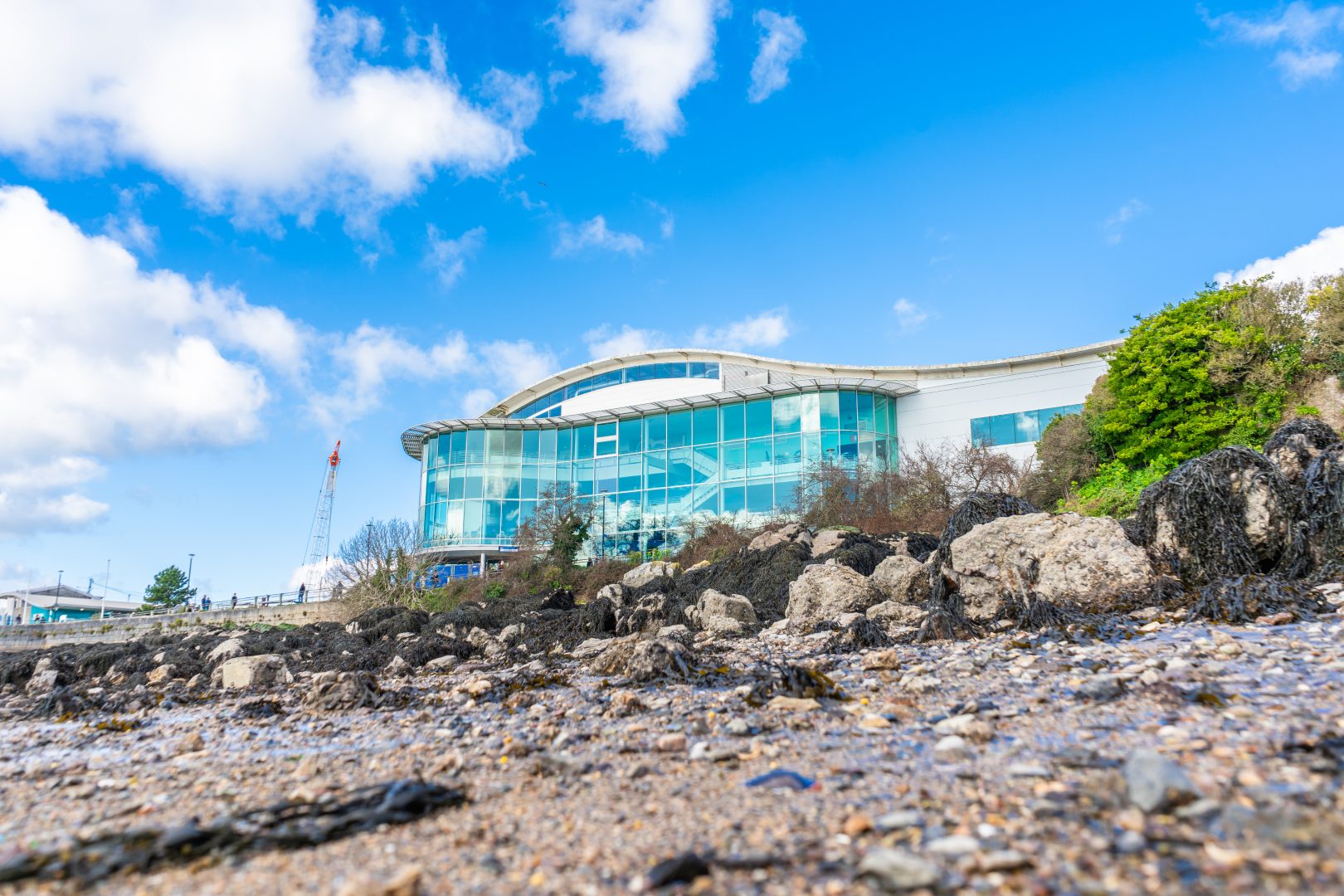 Plymouth Half Marathon Disruption 28th April National Marine Aquarium