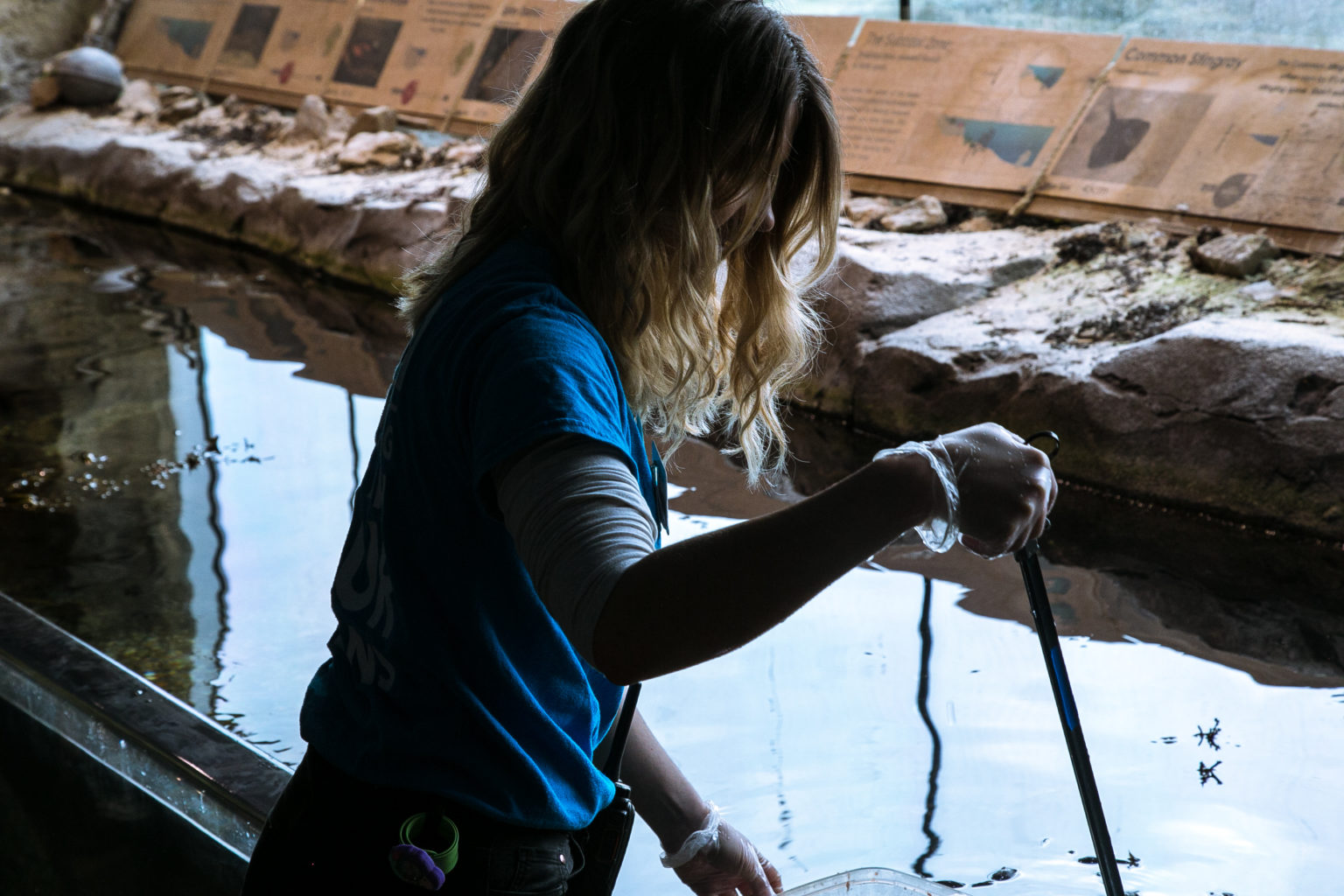 So you want to become a Marine Biologist? | National Marine Aquarium