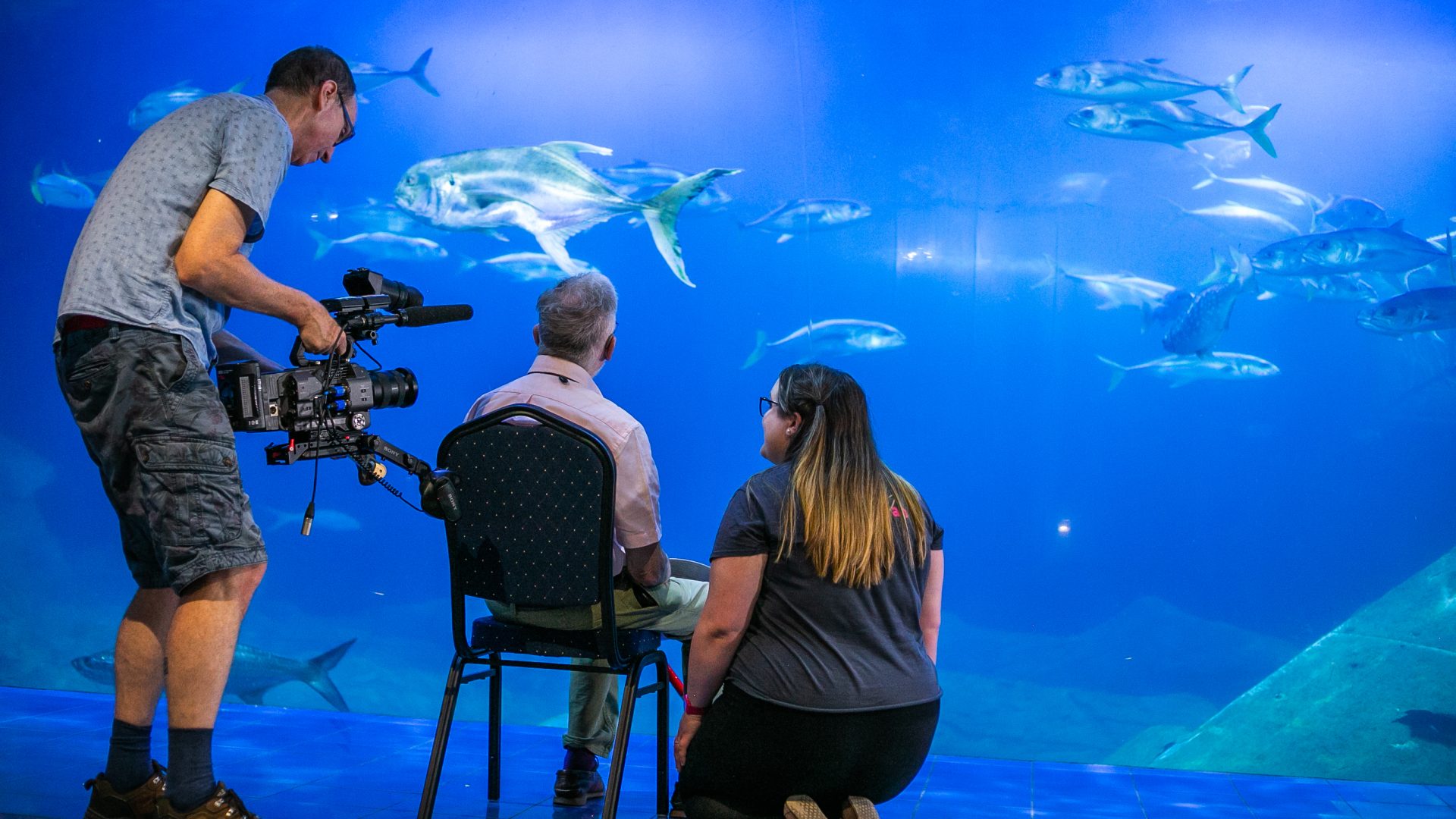 Secrets of The Aquarium Competition National Marine Aquarium