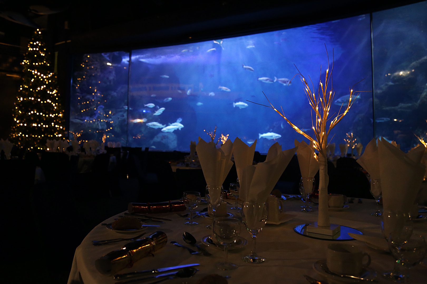 This image has an empty alt attribute; its file name is christmas-parties-1620x1080.jpg