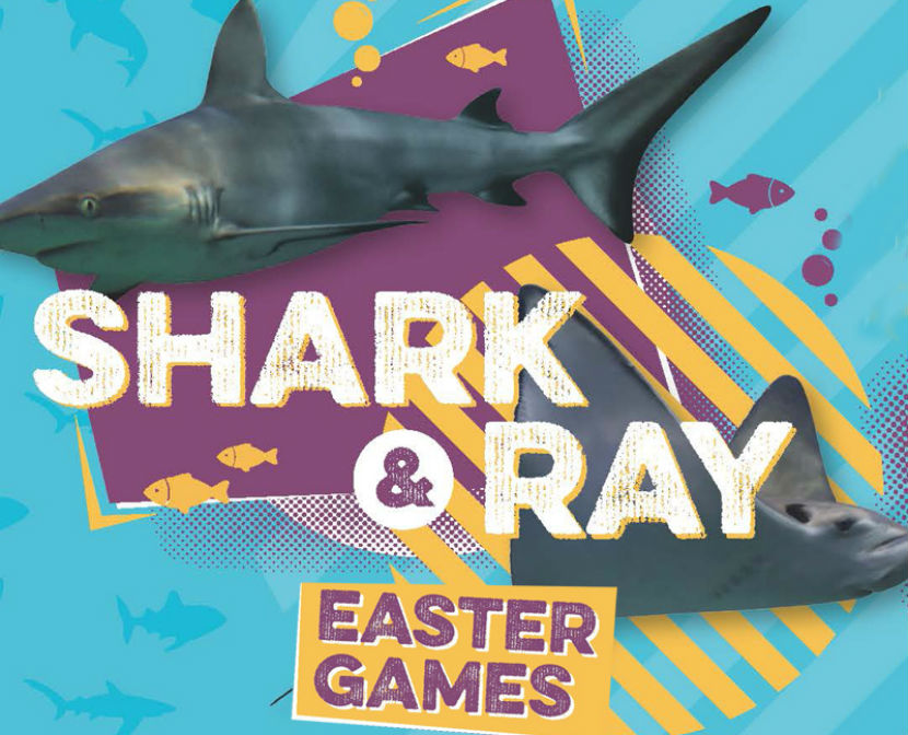 easter National Marine Aquarium