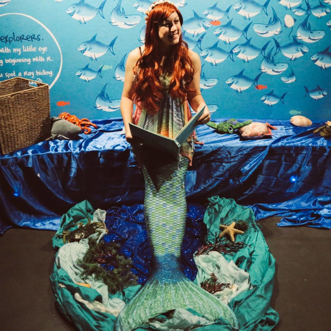 mermaid aquarium