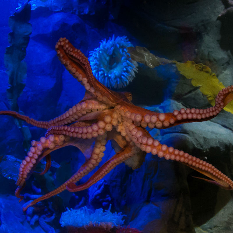 neptune National Marine Aquarium