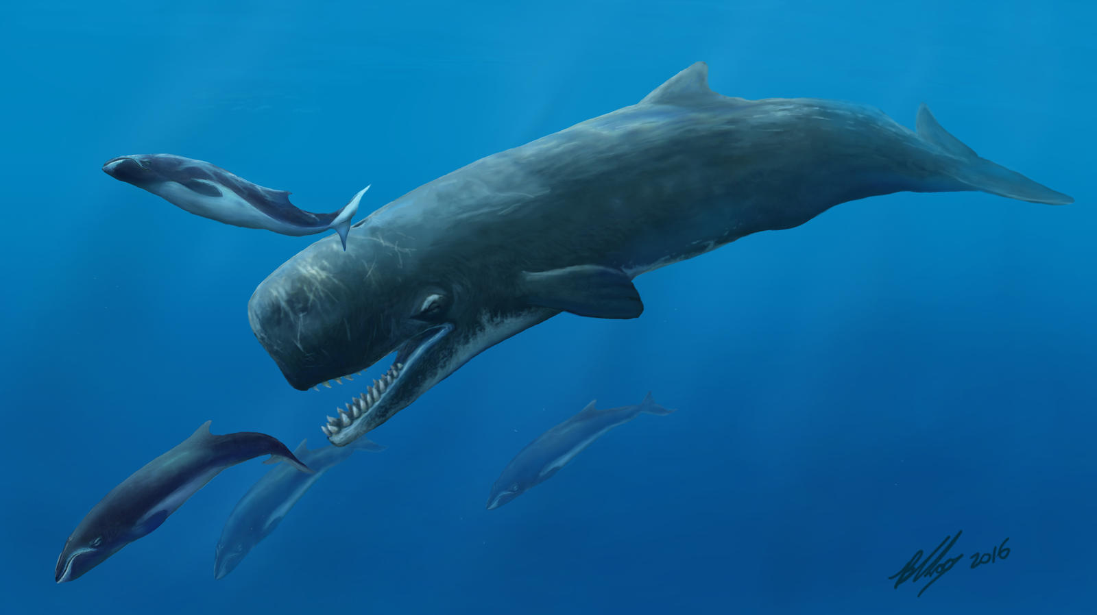 Sperm whales are wacky, weird, and wonderful! Here's why… - National Marine  Aquarium