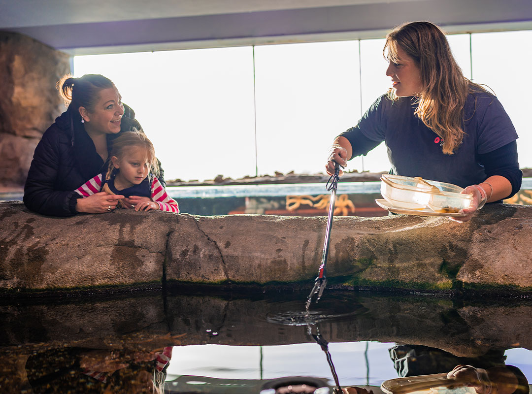 Ocean discovery ranger feeding our fish as a mother and her child watch