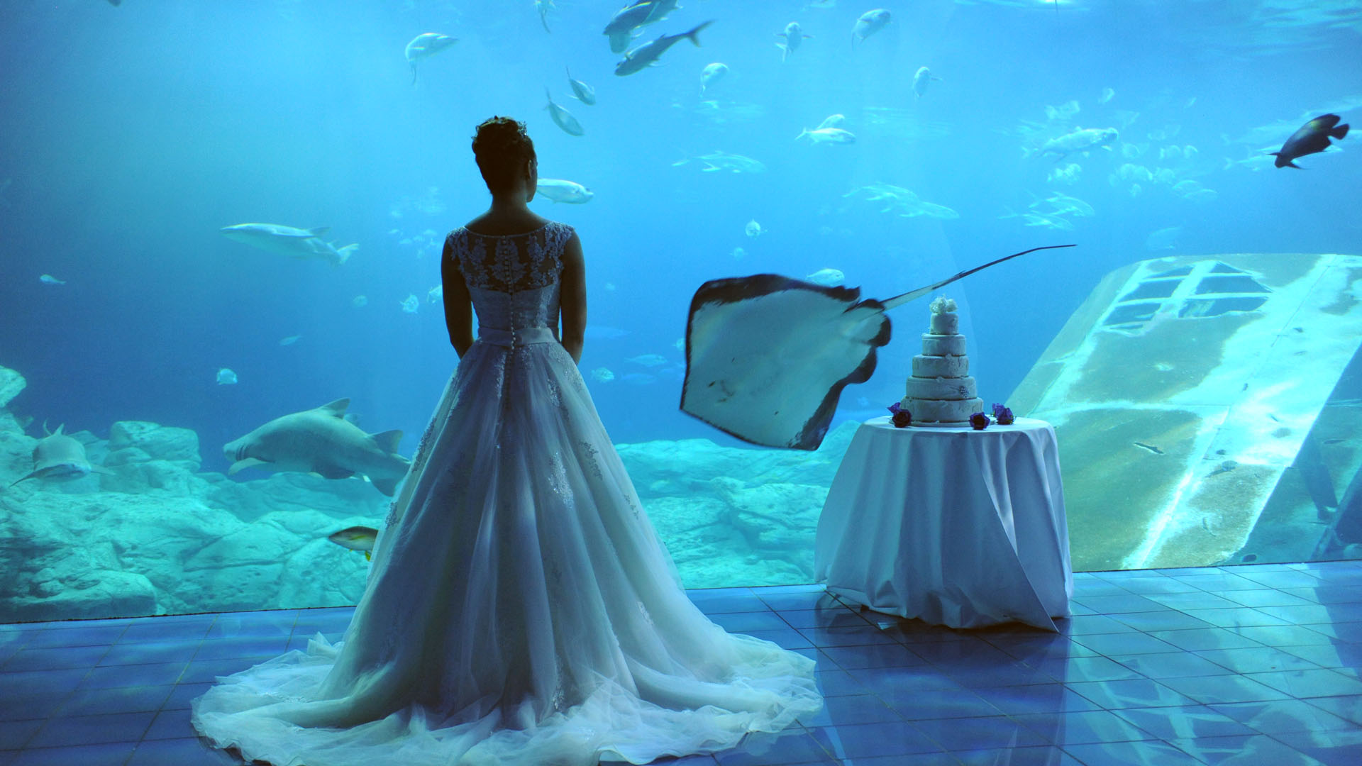 This image has an empty alt attribute; its file name is wedding-reception.jpg